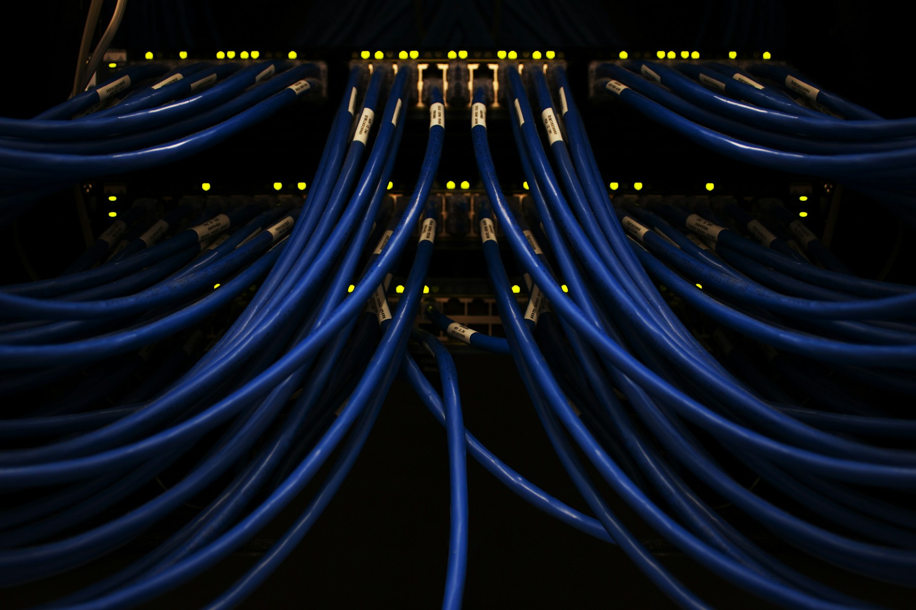 Blue network cables