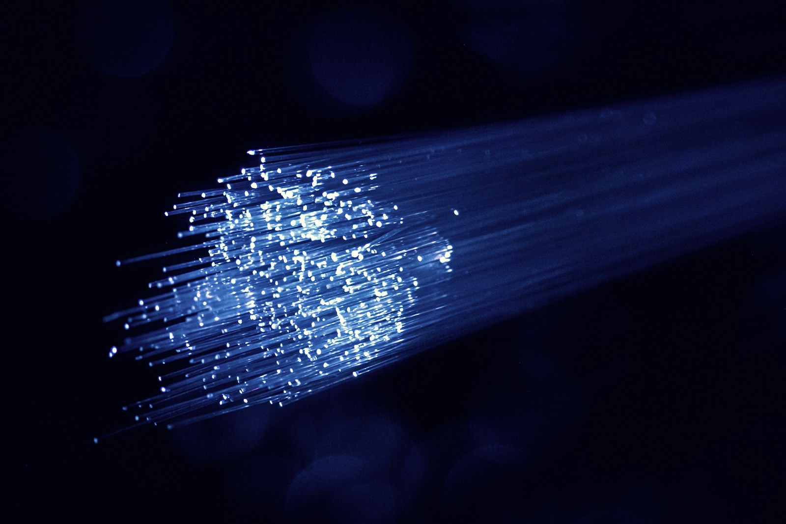White-blue fiber-optic bundle