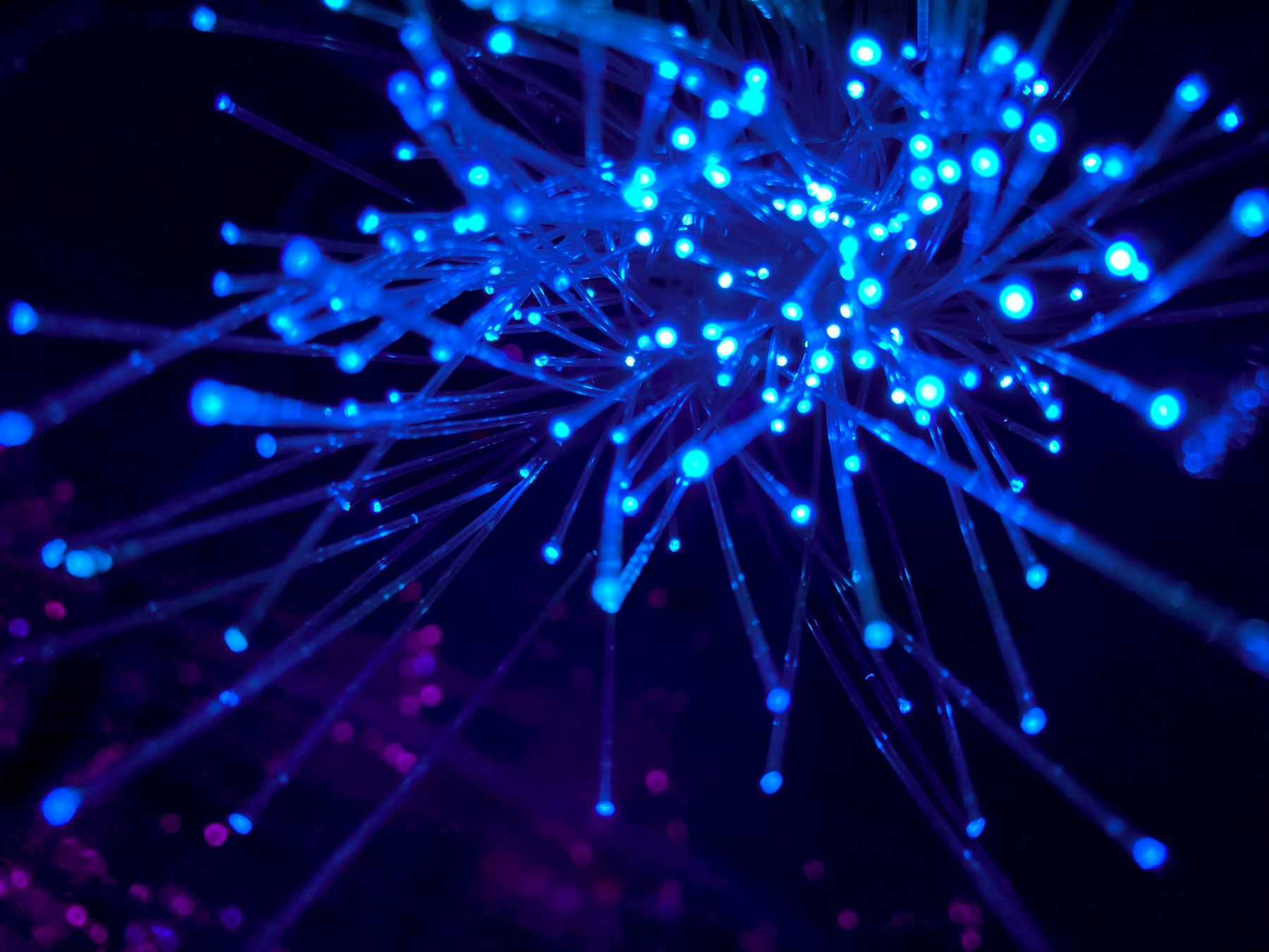 Fiber optic light strands